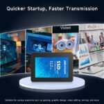 Hikvision E100 512GB